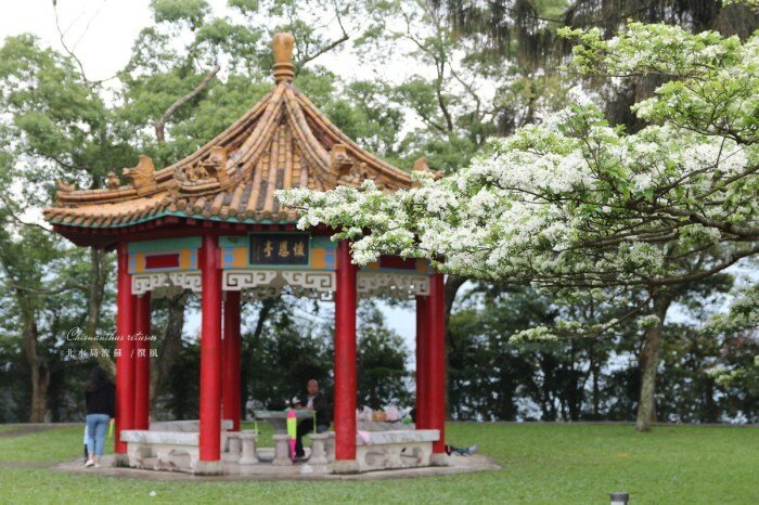 新北景點／烏來老街與烏來瀑布－原民特色山產小吃、烏來台車、溫泉街玩透透