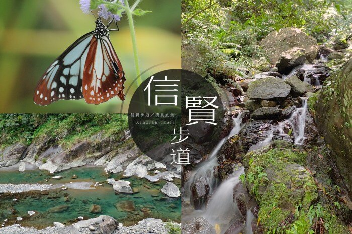 新北／新店小粗坑步道與直潭淨水廠－心曠神怡的碧綠新店溪畔散步