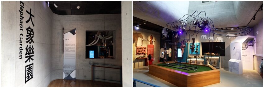 【臺灣好行山博行線】只要50元暢遊臺南親子景點!路線、一日遊景點攻略!