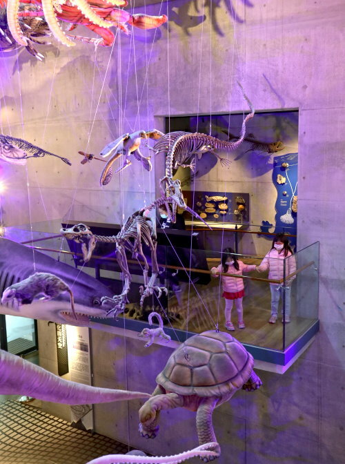 【臺灣好行山博行線】只要50元暢遊臺南親子景點!路線、一日遊景點攻略!