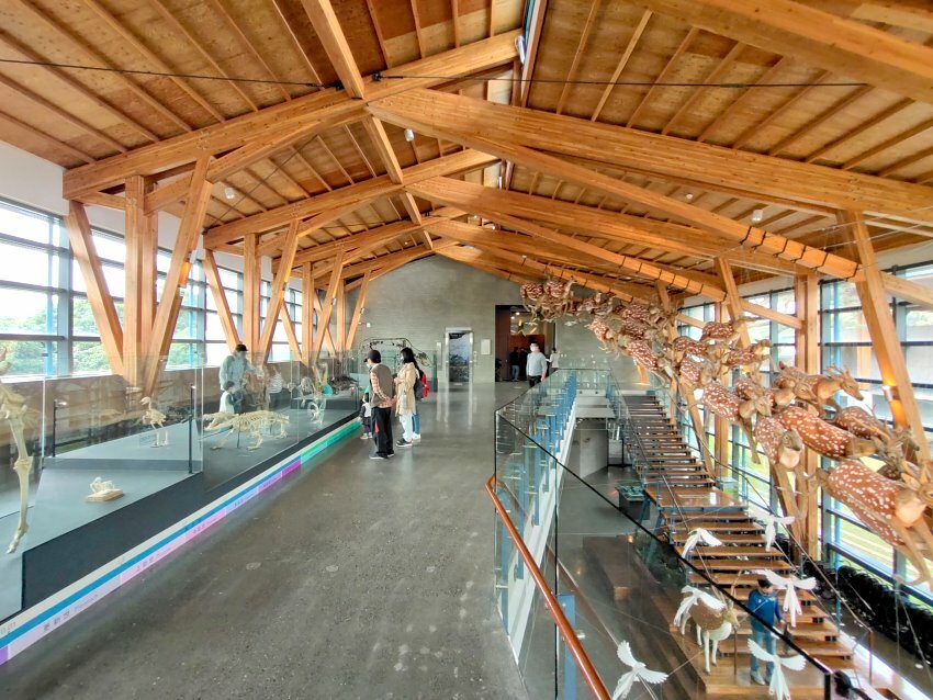 【臺灣好行山博行線】只要50元暢遊臺南親子景點!路線、一日遊景點攻略!