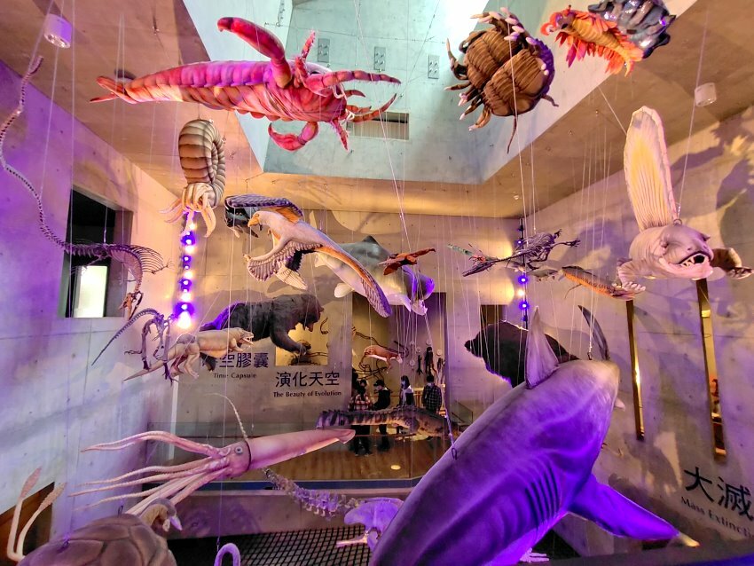 【臺灣好行山博行線】只要50元暢遊臺南親子景點!路線、一日遊景點攻略!