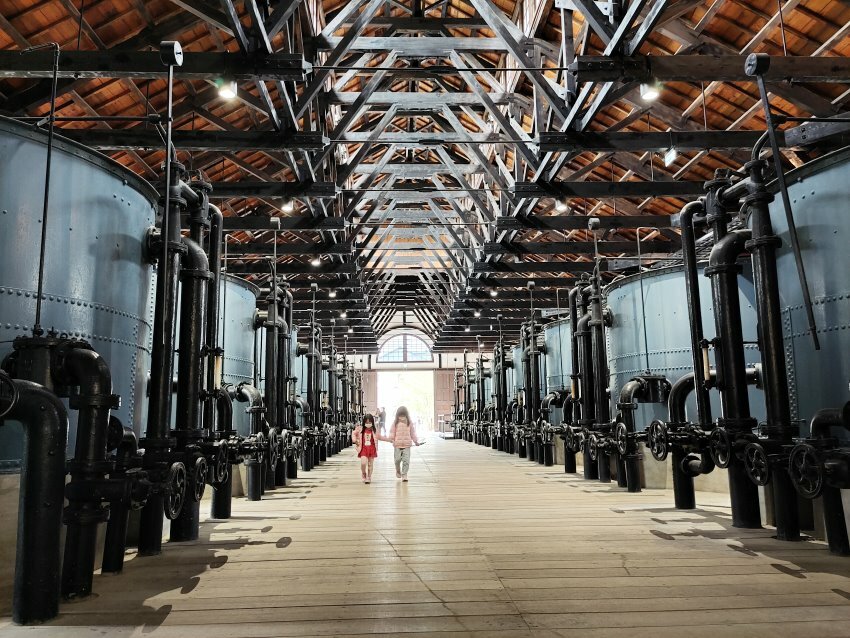 【臺灣好行山博行線】只要50元暢遊臺南親子景點!路線、一日遊景點攻略!