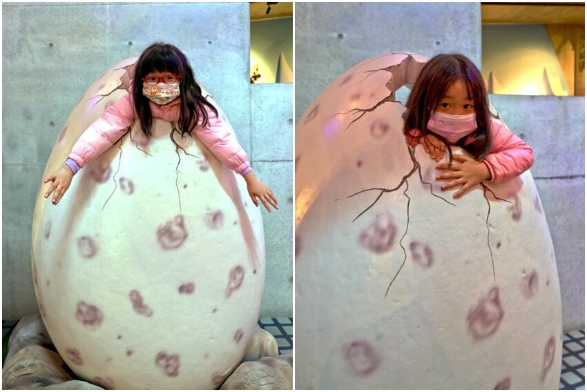 【臺灣好行山博行線】只要50元暢遊臺南親子景點!路線、一日遊景點攻略!