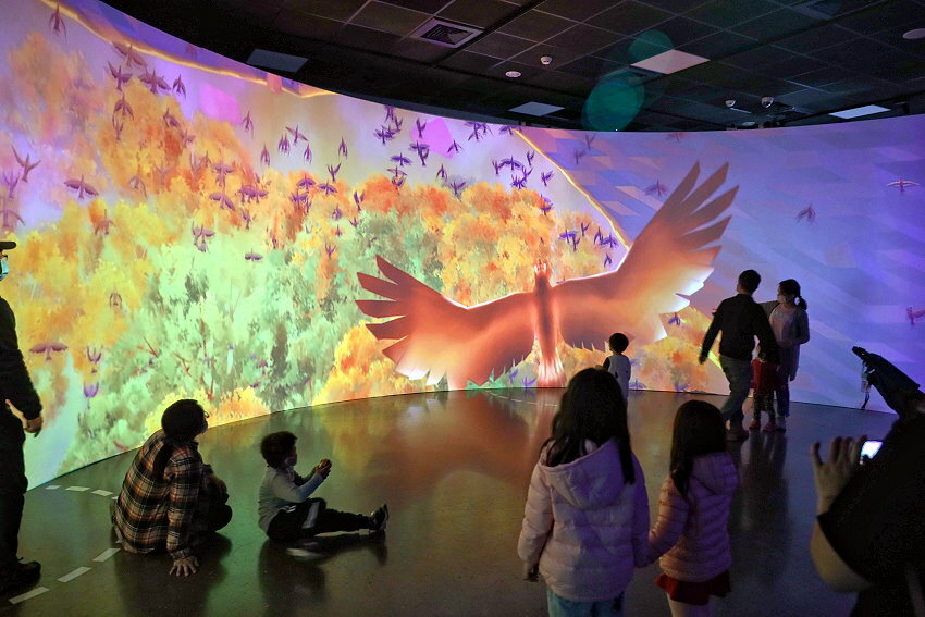 【臺灣好行山博行線】只要50元暢遊臺南親子景點!路線、一日遊景點攻略!