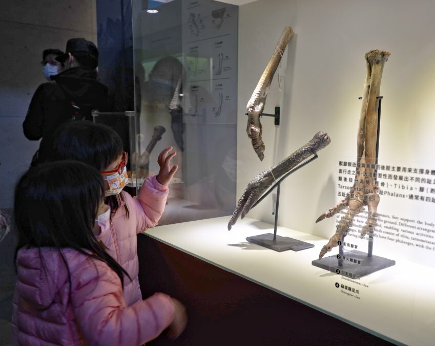 【臺灣好行山博行線】只要50元暢遊臺南親子景點!路線、一日遊景點攻略!