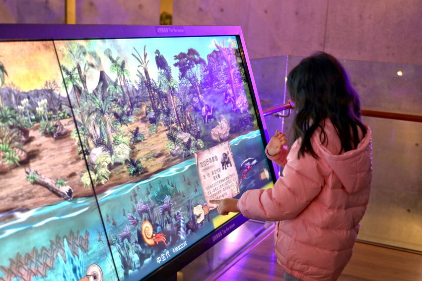 【臺灣好行山博行線】只要50元暢遊臺南親子景點!路線、一日遊景點攻略!