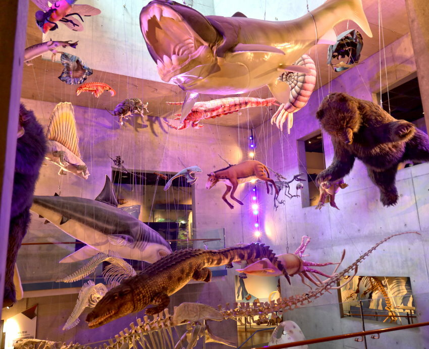 【臺灣好行山博行線】只要50元暢遊臺南親子景點!路線、一日遊景點攻略!