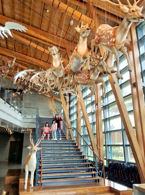 【臺灣好行山博行線】只要50元暢遊臺南親子景點!路線、一日遊景點攻略!