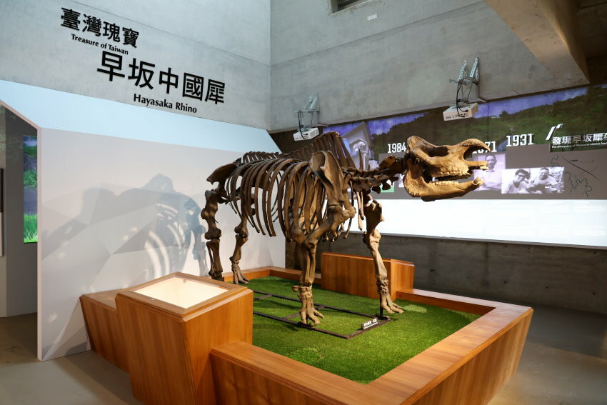 【臺灣好行山博行線】只要50元暢遊臺南親子景點!路線、一日遊景點攻略!