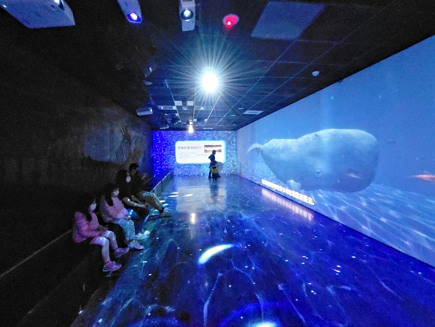 【臺灣好行山博行線】只要50元暢遊臺南親子景點!路線、一日遊景點攻略!