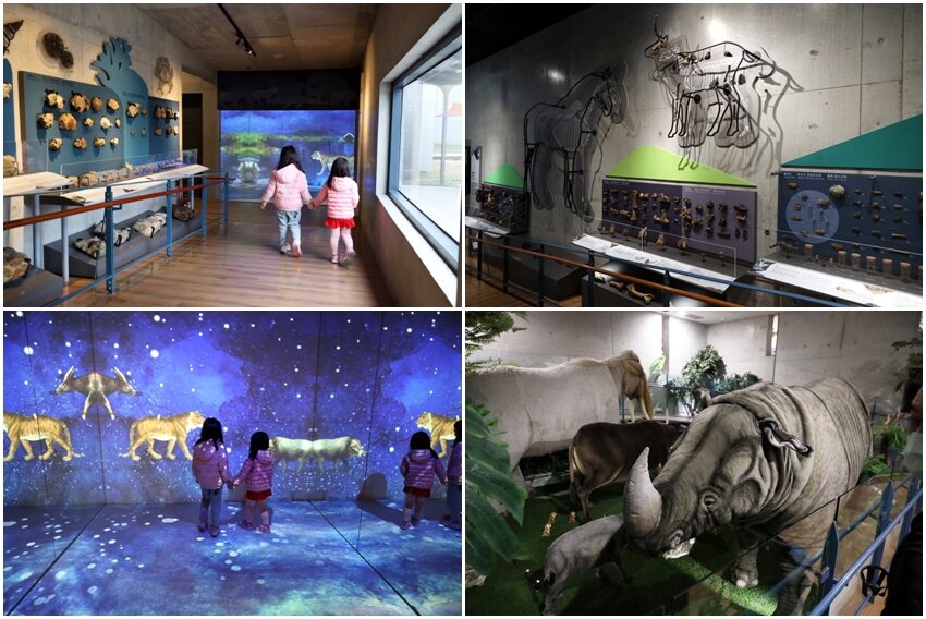 【臺灣好行山博行線】只要50元暢遊臺南親子景點!路線、一日遊景點攻略!