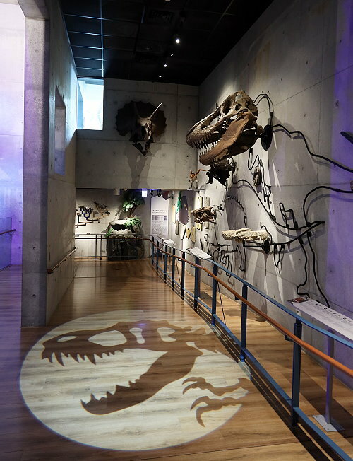 【臺灣好行山博行線】只要50元暢遊臺南親子景點!路線、一日遊景點攻略!