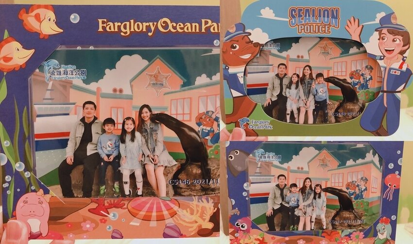 親親海獅 親親海獅