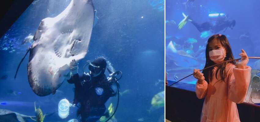 大洋池的生態奧秘 摸魟魚