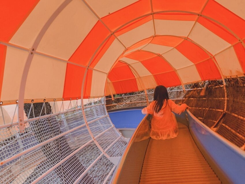 滾輪溜滑梯 滾輪溜滑梯