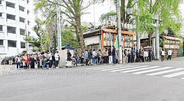 築地魚河岸 (35).JPG