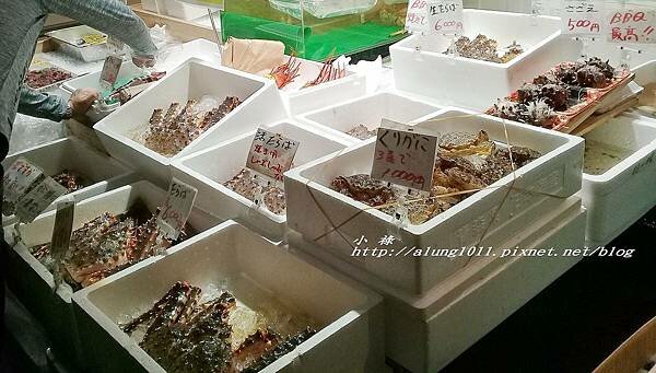 築地魚河岸 (13).jpg