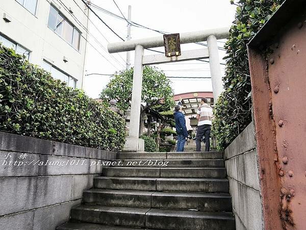 築地魚河岸 (8).jpg