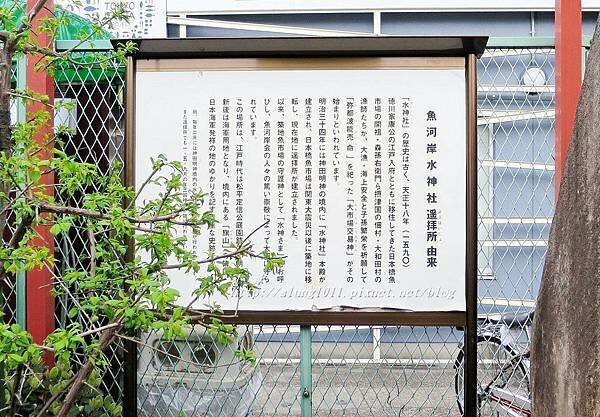 築地魚河岸 (4).JPG