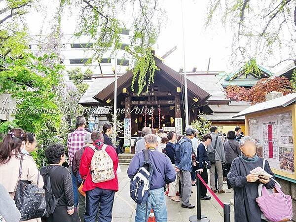 築地魚河岸 (36).JPG