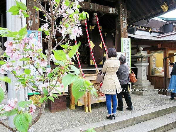 築地魚河岸 (38).jpg