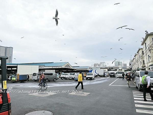 築地魚河岸 (1).jpg