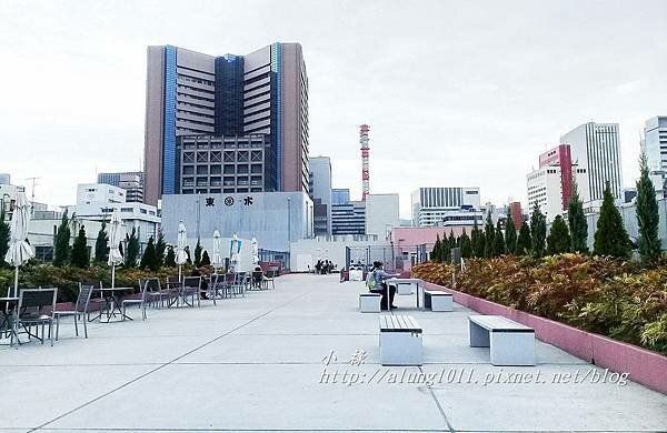 築地魚河岸 (23).jpg