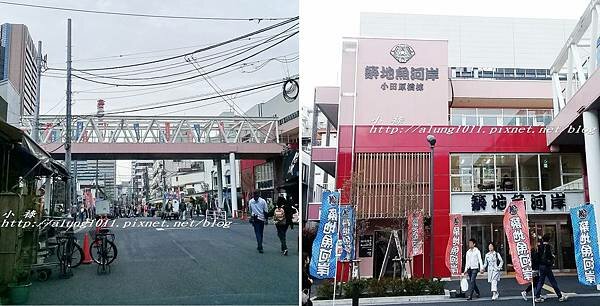 築地魚河岸 (10).jpg