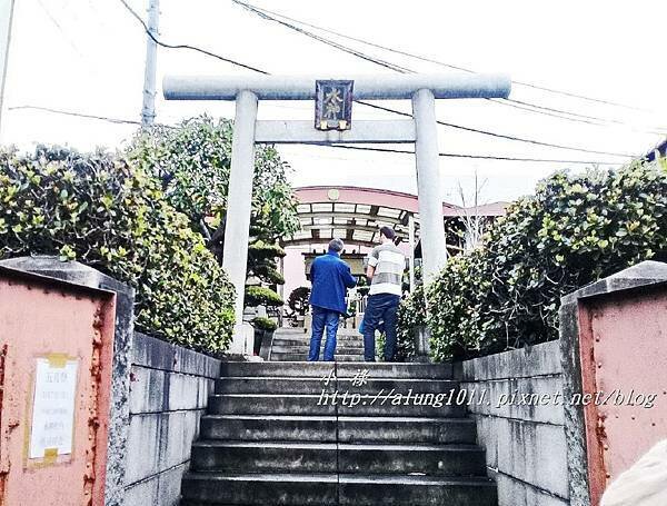 築地魚河岸 (5).jpg