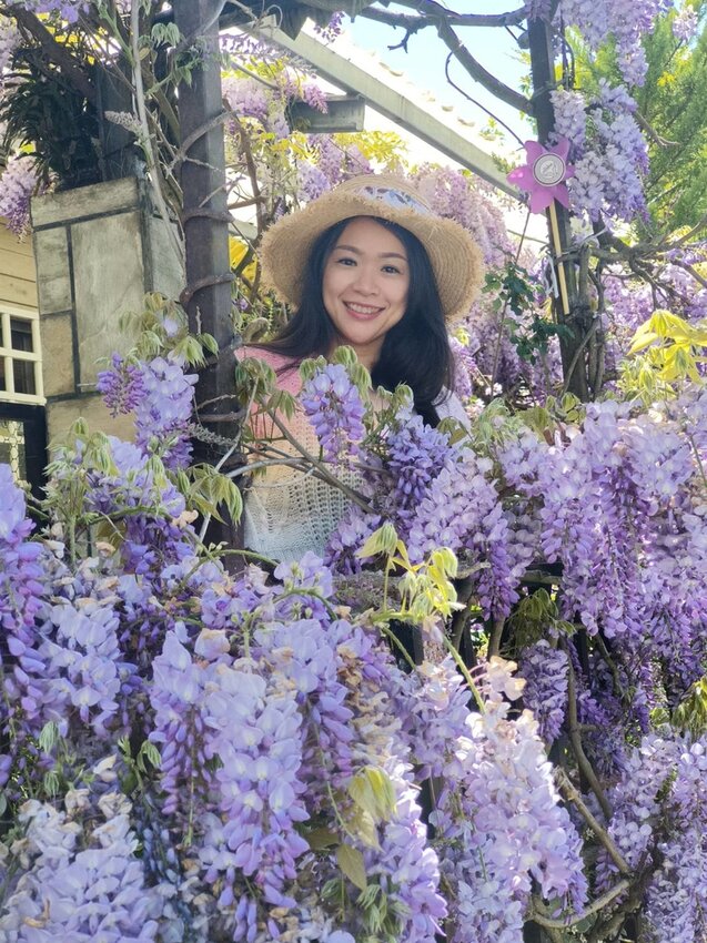 【台中.和平區】福壽山農場四月限定美景賞蘋果花+梨花+紫藤+小葉楓樹。遊客少漫步蘋果園超悠閒