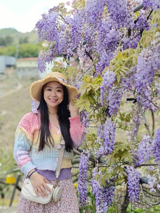 【台中.和平區】福壽山農場四月限定美景賞蘋果花+梨花+紫藤+小葉楓樹。遊客少漫步蘋果園超悠閒