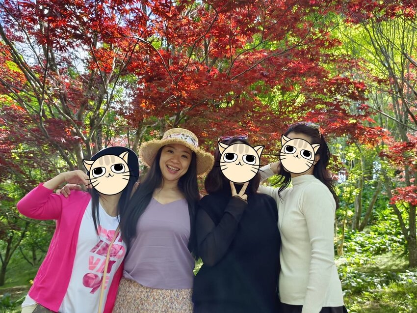 【台中.和平區】福壽山農場四月限定美景賞蘋果花+梨花+紫藤+小葉楓樹。遊客少漫步蘋果園超悠閒