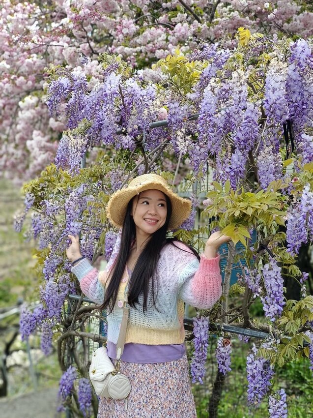 【台中.和平區】福壽山農場四月限定美景賞蘋果花+梨花+紫藤+小葉楓樹。遊客少漫步蘋果園超悠閒