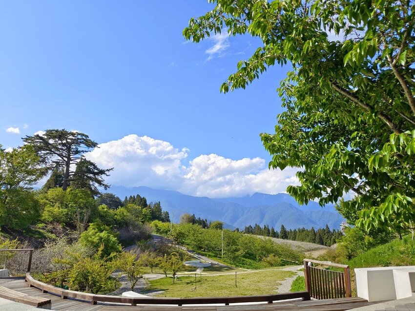 【台中.和平區】福壽山農場四月限定美景賞蘋果花+梨花+紫藤+小葉楓樹。遊客少漫步蘋果園超悠閒