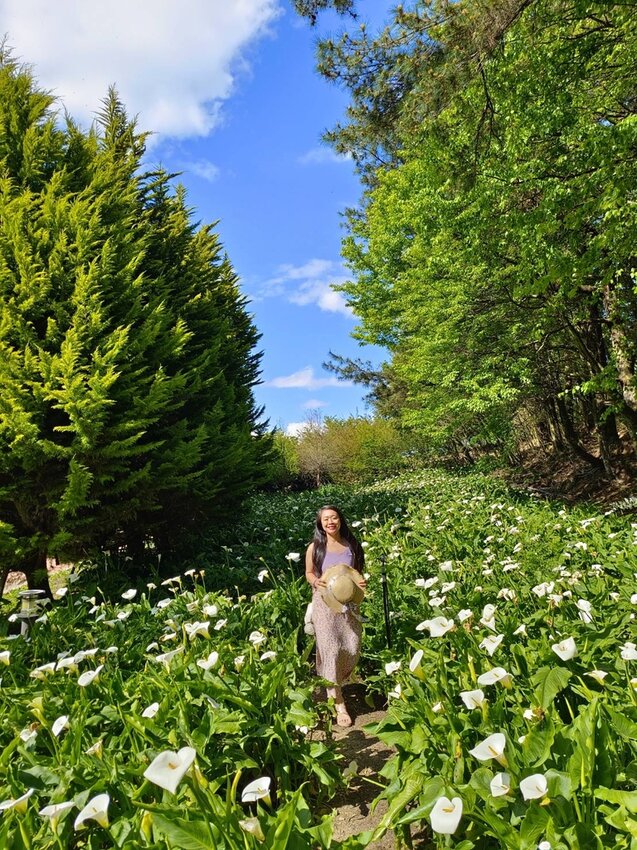 【台中.和平區】福壽山農場四月限定美景賞蘋果花+梨花+紫藤+小葉楓樹。遊客少漫步蘋果園超悠閒