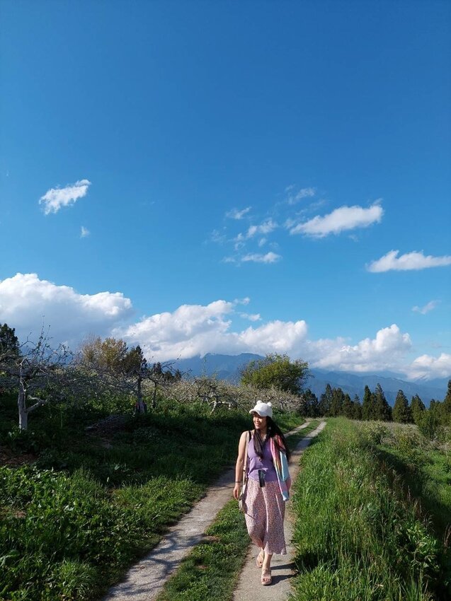【台中.和平區】福壽山農場四月限定美景賞蘋果花+梨花+紫藤+小葉楓樹。遊客少漫步蘋果園超悠閒
