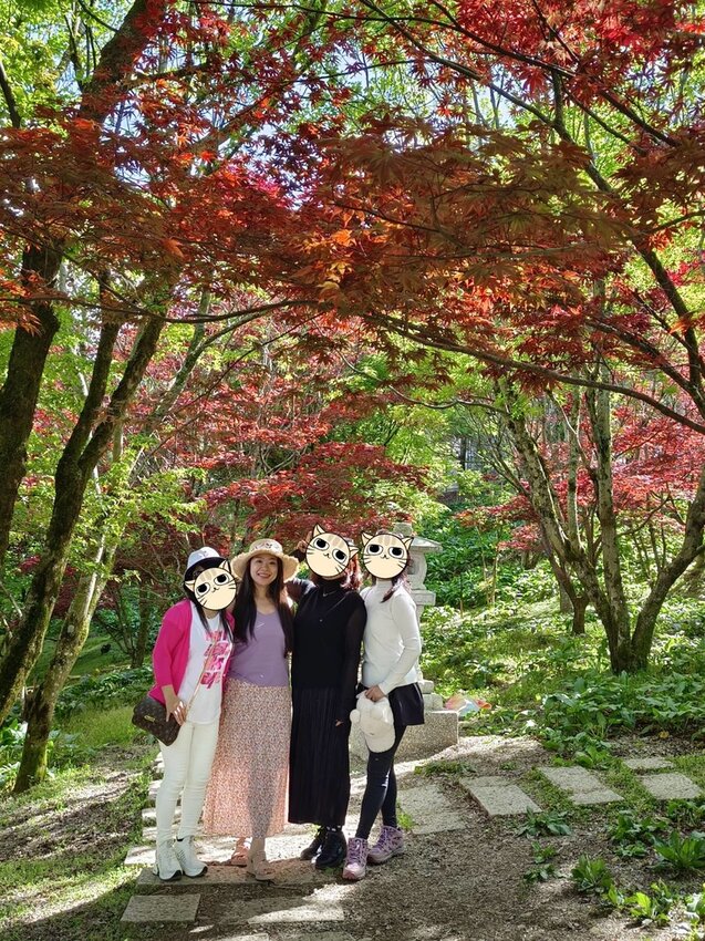 【台中.和平區】福壽山農場四月限定美景賞蘋果花+梨花+紫藤+小葉楓樹。遊客少漫步蘋果園超悠閒