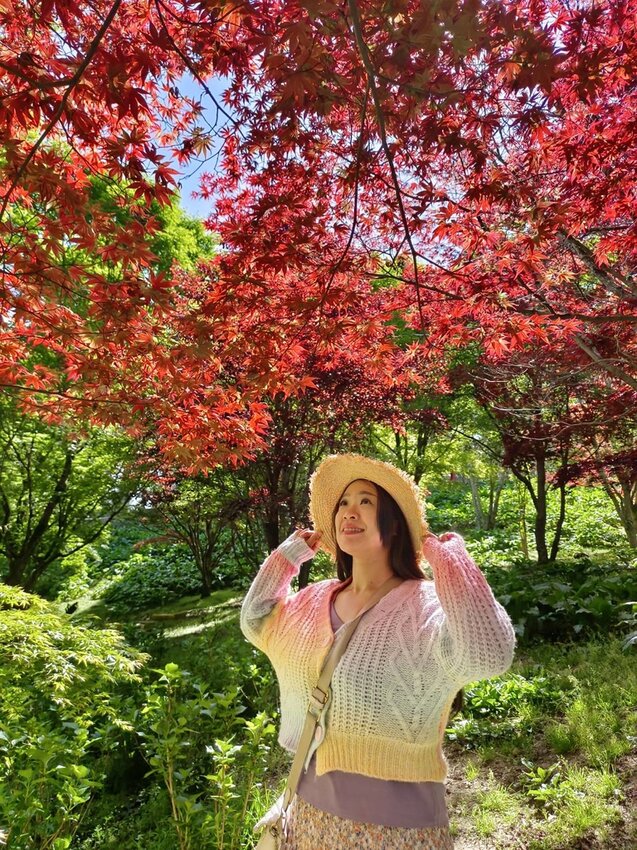 【台中.和平區】福壽山農場四月限定美景賞蘋果花+梨花+紫藤+小葉楓樹。遊客少漫步蘋果園超悠閒