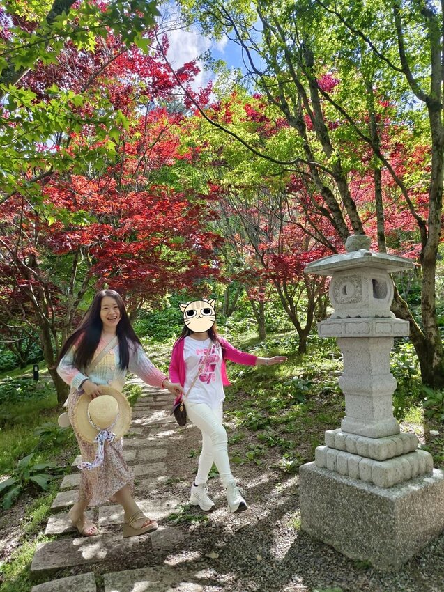 【台中.和平區】福壽山農場四月限定美景賞蘋果花+梨花+紫藤+小葉楓樹。遊客少漫步蘋果園超悠閒