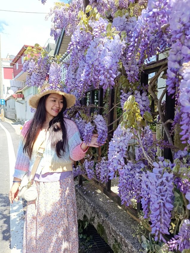 【台中.和平區】福壽山農場四月限定美景賞蘋果花+梨花+紫藤+小葉楓樹。遊客少漫步蘋果園超悠閒