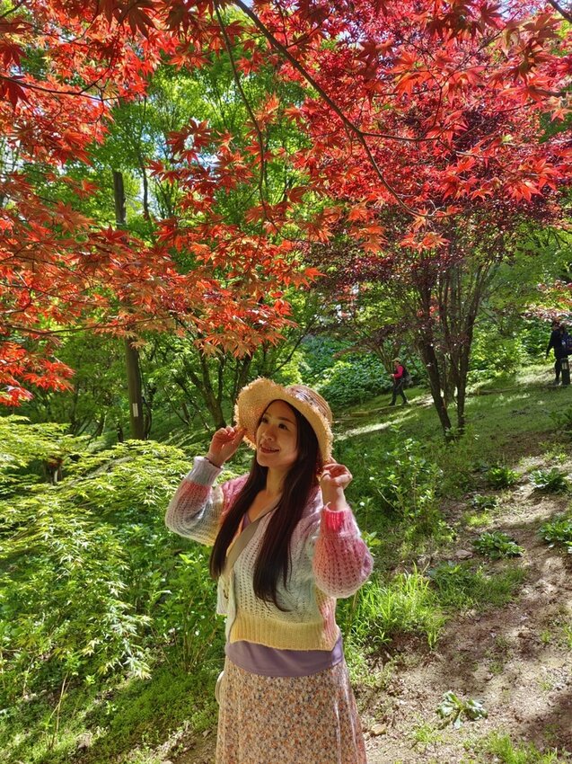 【台中.和平區】福壽山農場四月限定美景賞蘋果花+梨花+紫藤+小葉楓樹。遊客少漫步蘋果園超悠閒