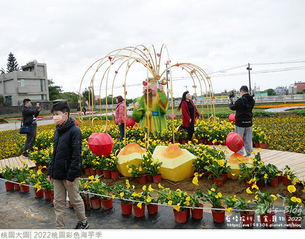 彩色海芋季-38.jpg