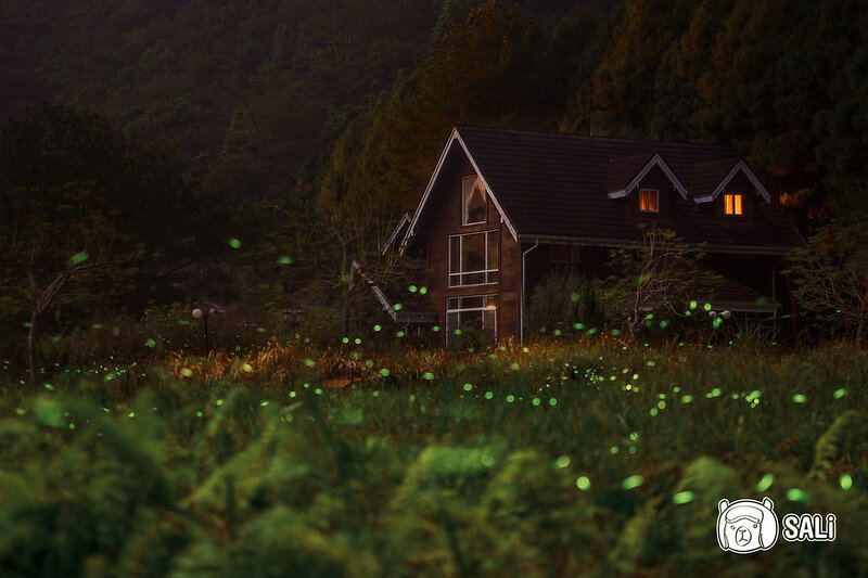晶園度假村螢火蟲