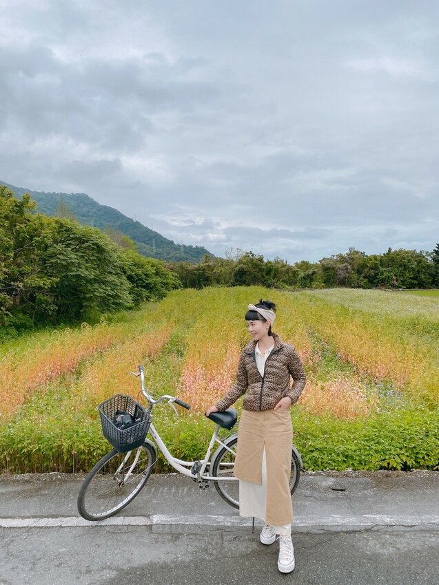 祕境般的吉安鄉間小路：綠色隧道、蓮城請喝蓮花茶、農場草原、落羽松私房景點