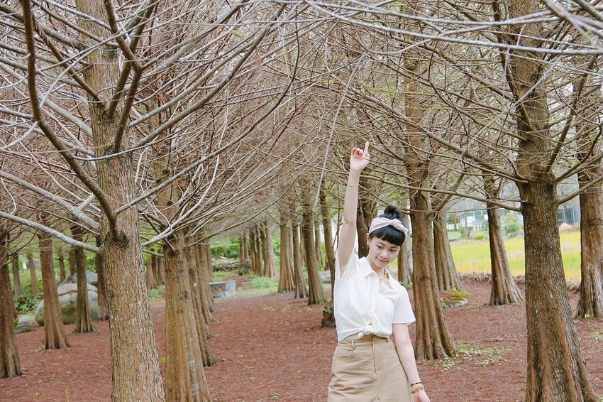 祕境般的吉安鄉間小路：綠色隧道、蓮城請喝蓮花茶、農場草原、落羽松私房景點