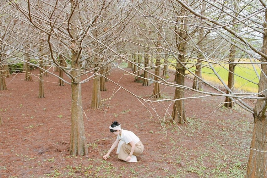 祕境般的吉安鄉間小路：綠色隧道、蓮城請喝蓮花茶、農場草原、落羽松私房景點