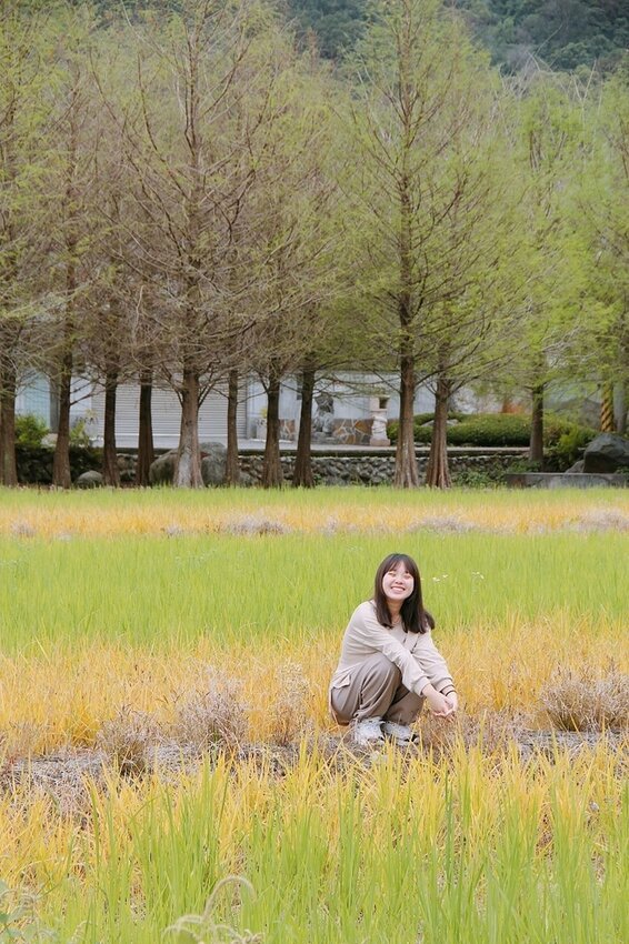 祕境般的吉安鄉間小路：綠色隧道、蓮城請喝蓮花茶、農場草原、落羽松私房景點