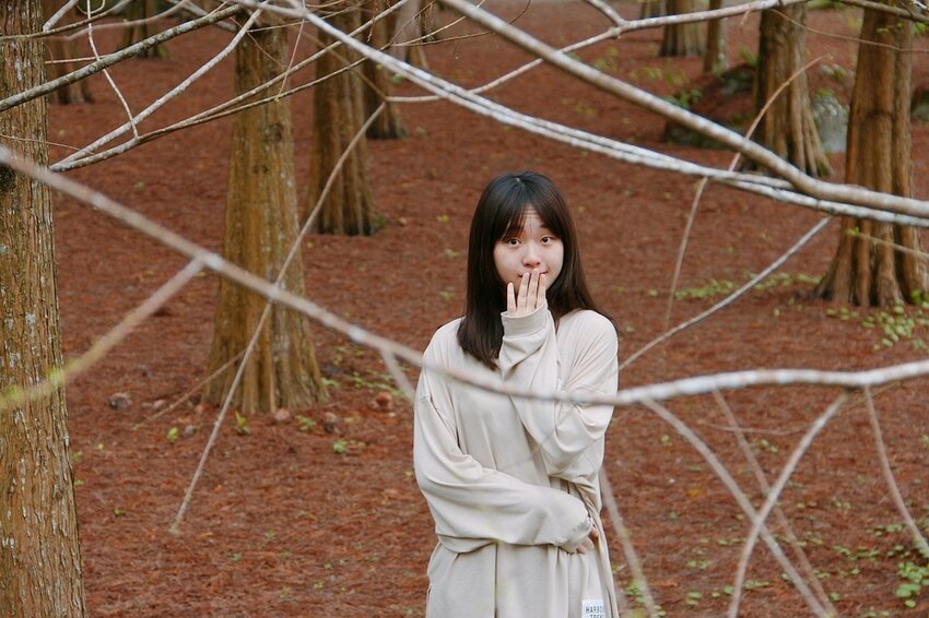 祕境般的吉安鄉間小路：綠色隧道、蓮城請喝蓮花茶、農場草原、落羽松私房景點