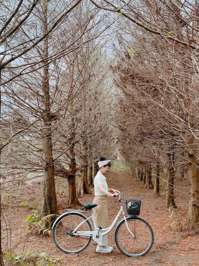 祕境般的吉安鄉間小路：綠色隧道、蓮城請喝蓮花茶、農場草原、落羽松私房景點